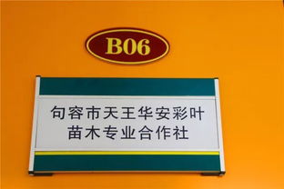 喜訊！華東森林產(chǎn)品電商城入選首批江蘇省鄉(xiāng)鎮(zhèn)電子商務(wù)特色產(chǎn)業(yè)園區(qū)