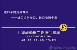 專業(yè)護(hù)航，高效通關(guān) 上海進(jìn)口報(bào)關(guān)代理服務(wù)全解析