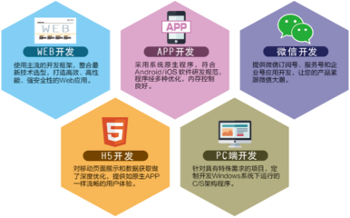 軟件開(kāi)發(fā)技術(shù)服務(wù) 賦能企業(yè)數(shù)字化轉(zhuǎn)型的核心驅(qū)動(dòng)力